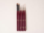 Pro Nail Brush Collection (6-piece set)